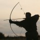 chasse à l'arc